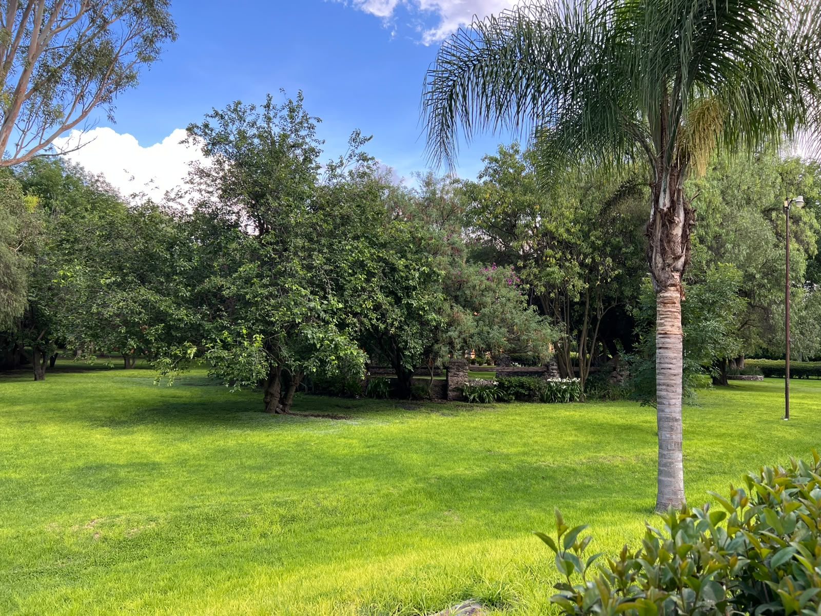 Vista panorámica de los jardines de Hacienda Dolores, salón de eventos en Querétaro