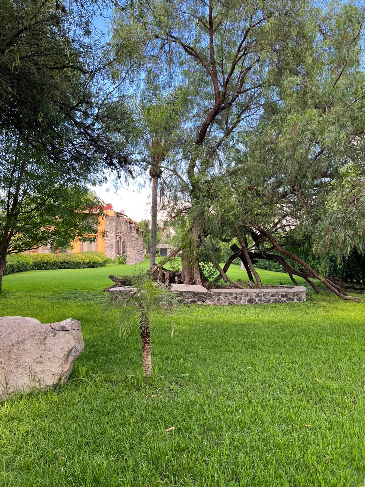Jardín con árboles y roca volcánica en Hacienda Dolores, Querétaro